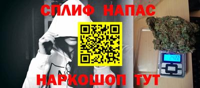 дживик Кингисепп