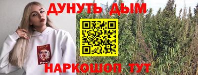 дживик Кингисепп