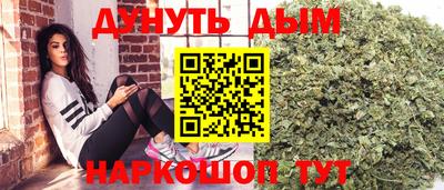 дживик Кингисепп