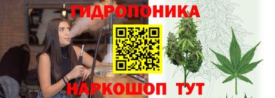 дживик Кингисепп