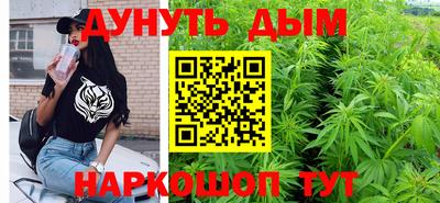 дживик Кингисепп