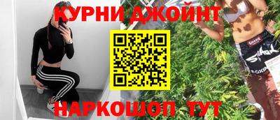 дживик Кингисепп