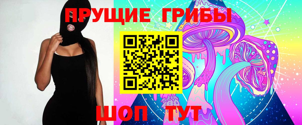 Владимир  Псилоцибиновые грибы мицелий  Галлюциногенные грибы Psilocybe  хочу   Вход с VPN 
