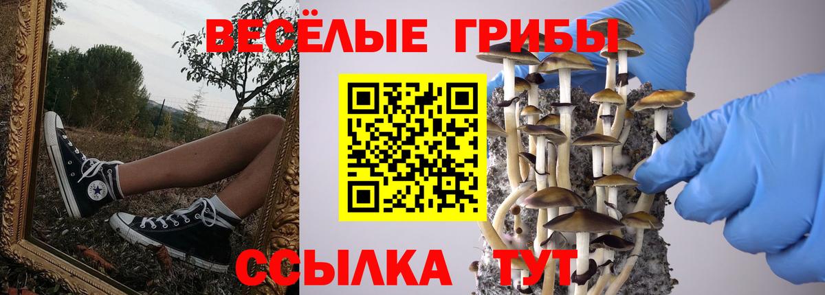 Псилоцибиновые грибы Cubensis Владимир