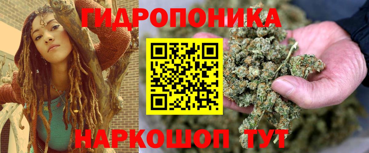 Марихуана гибрид Владимир